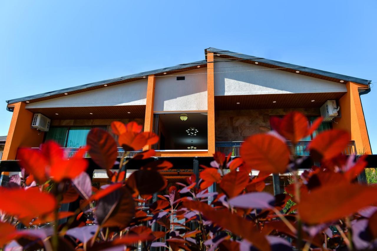 Lions Apartment 乌雷基 外观 照片